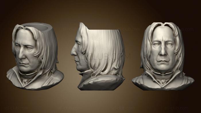 3D model Snape mate (STL)